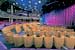 Stardust Theater