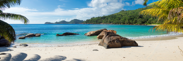 Summer Cruises To The Western Caribbean